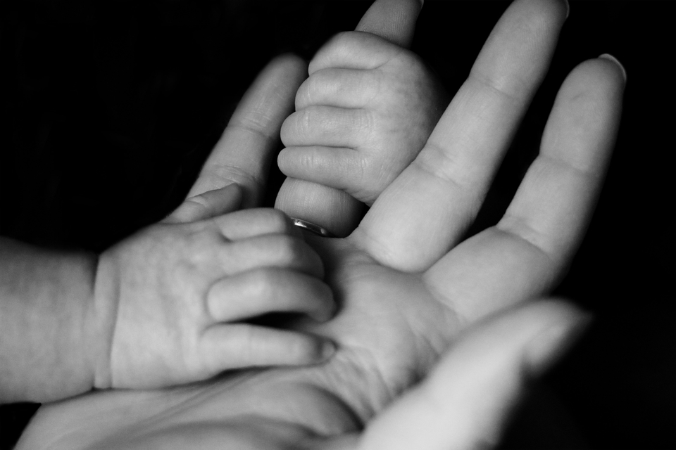 Adult and child hands together